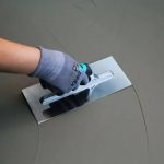 Gleterica ravna - BIHUI PTSBPL - Slika 3